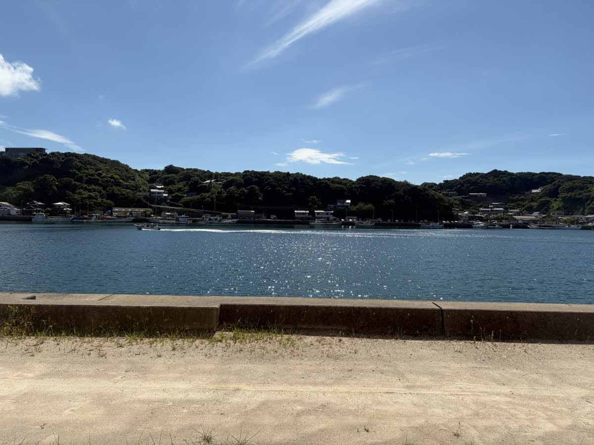 店の前から見える殿ノ浦の港